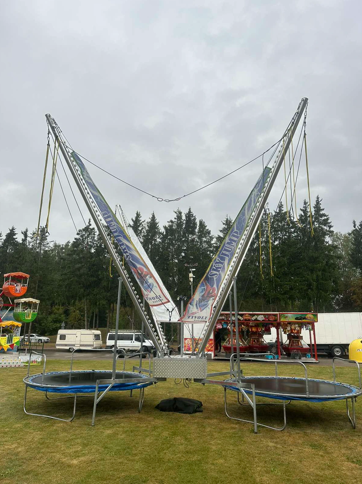 Mažoji šokdynė - nuotrauka 5